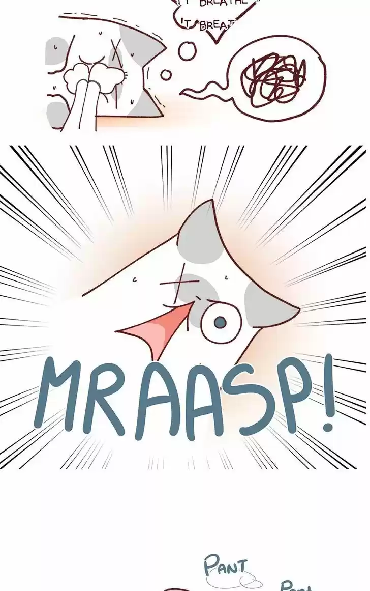 Saphie: The One-Eyed Cat 79