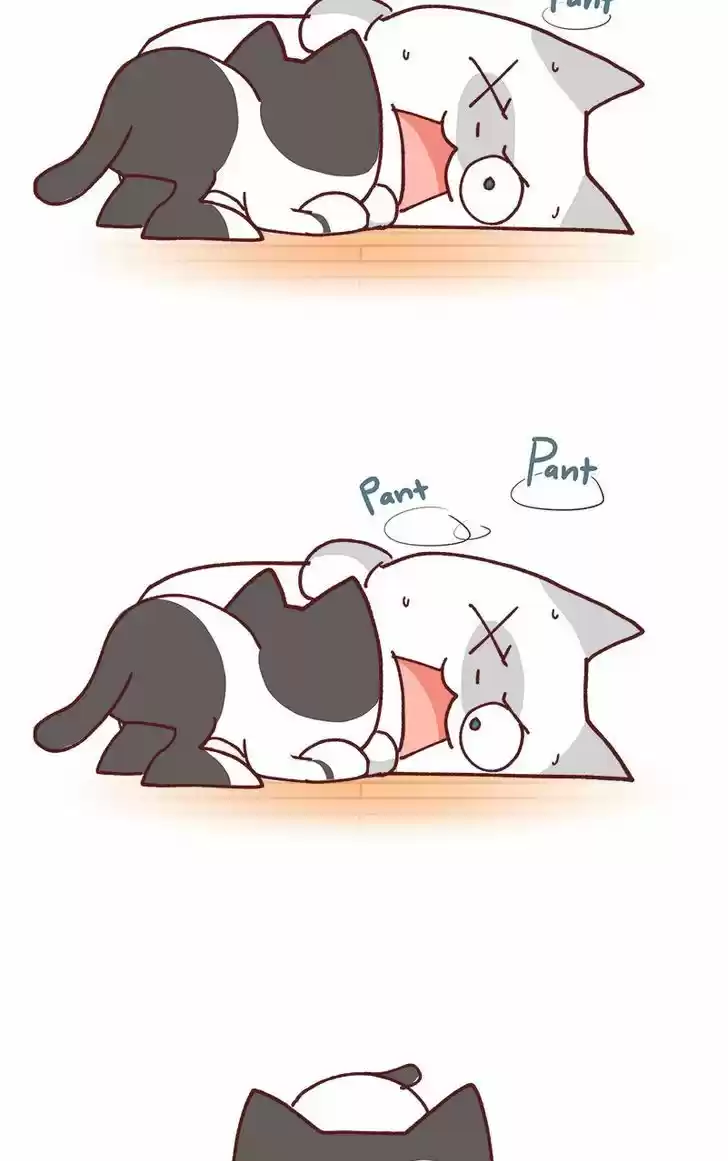 Saphie: The One-Eyed Cat 79