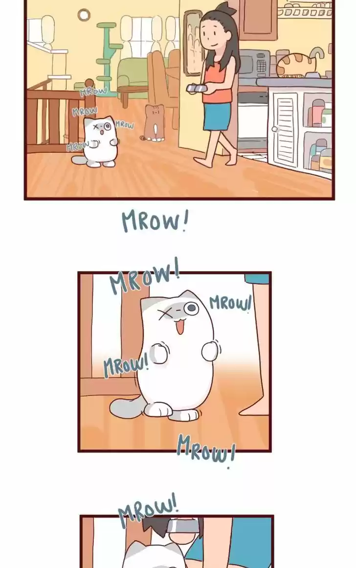 Saphie: The One-Eyed Cat 8