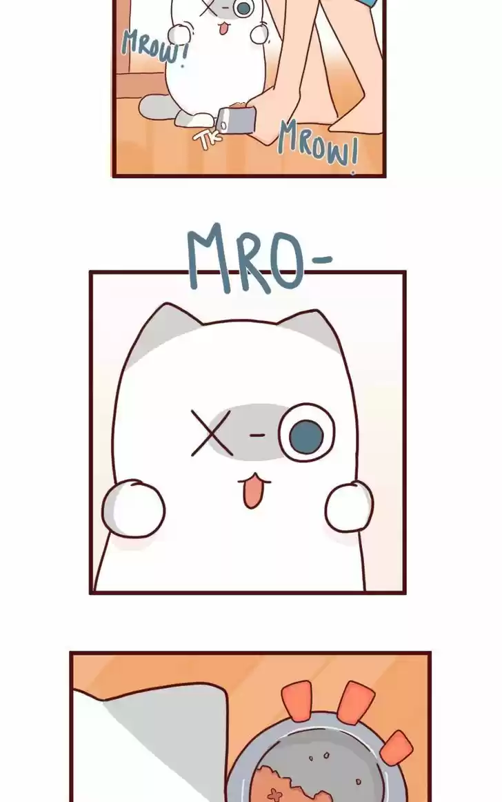 Saphie: The One-Eyed Cat 8