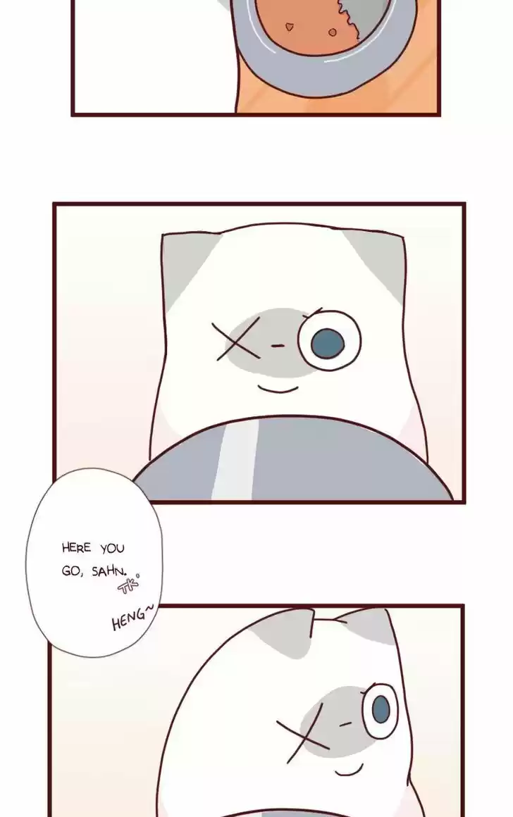 Saphie: The One-Eyed Cat 8