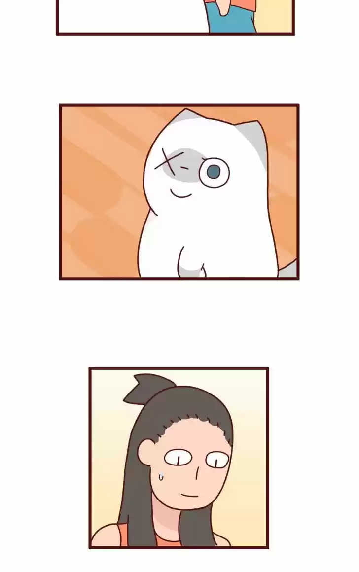 Saphie: The One-Eyed Cat 8