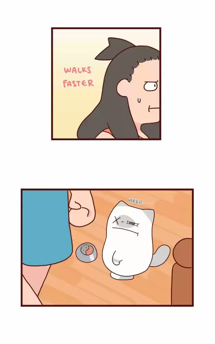 Saphie: The One-Eyed Cat 8