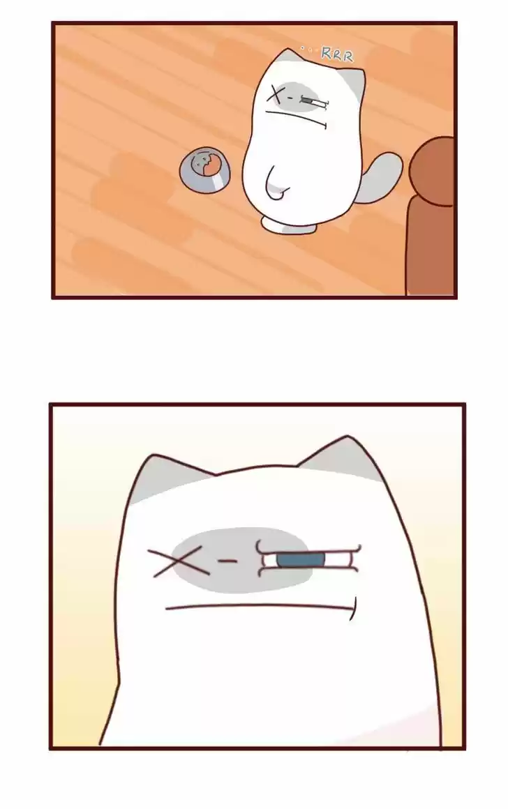 Saphie: The One-Eyed Cat 8