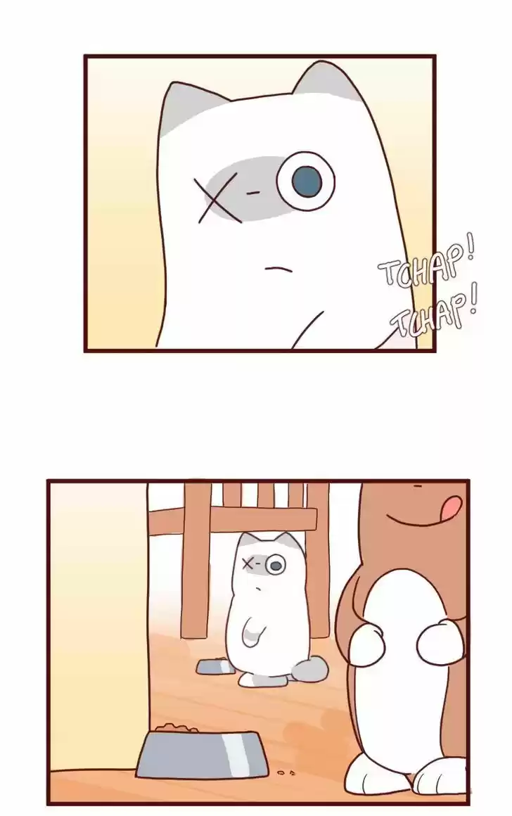 Saphie: The One-Eyed Cat 8