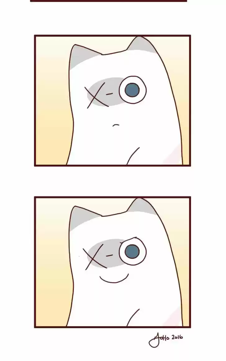 Saphie: The One-Eyed Cat 8