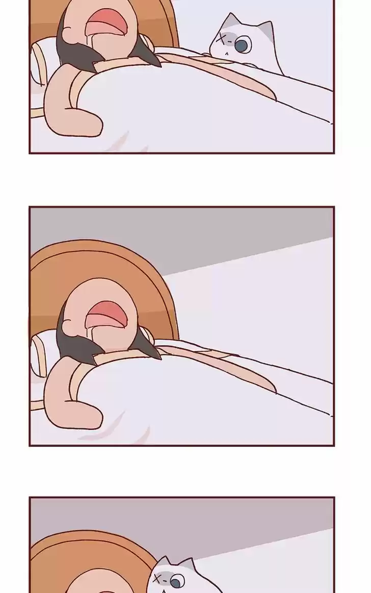 Saphie: The One-Eyed Cat 80