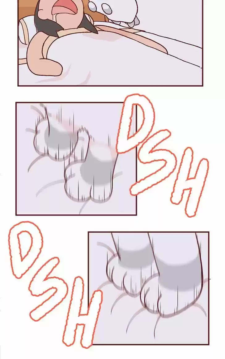 Saphie: The One-Eyed Cat 80