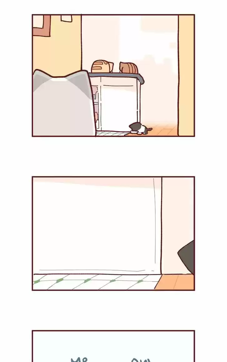 Saphie: The One-Eyed Cat 81