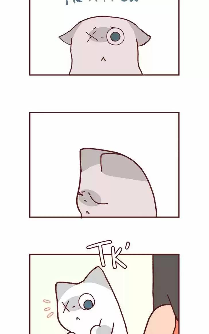 Saphie: The One-Eyed Cat 81