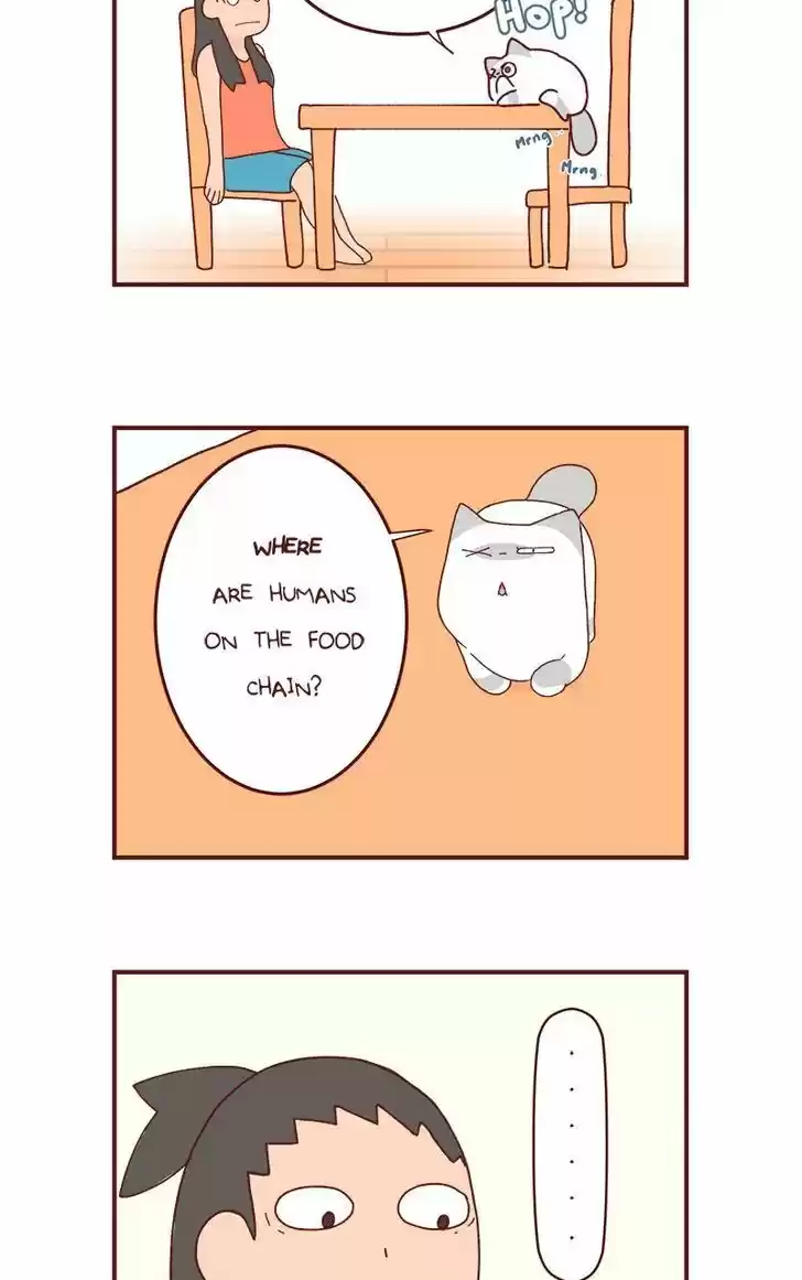 Saphie: The One-Eyed Cat 82