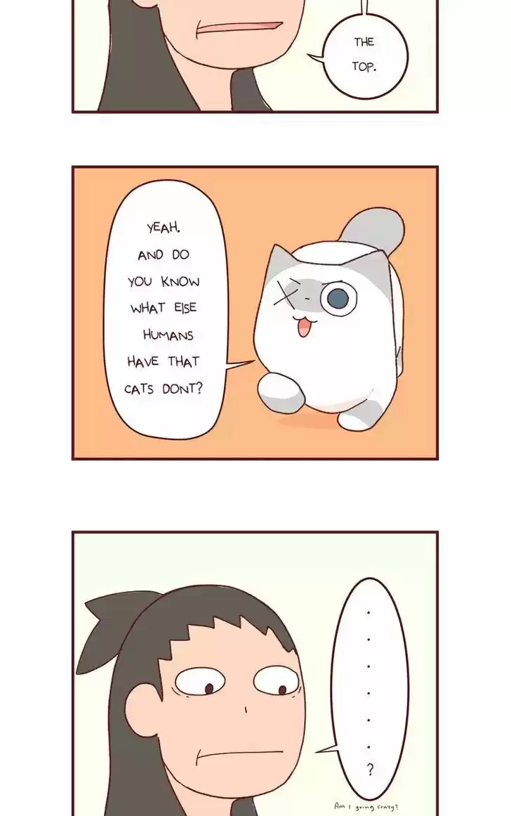 Saphie: The One-Eyed Cat 82