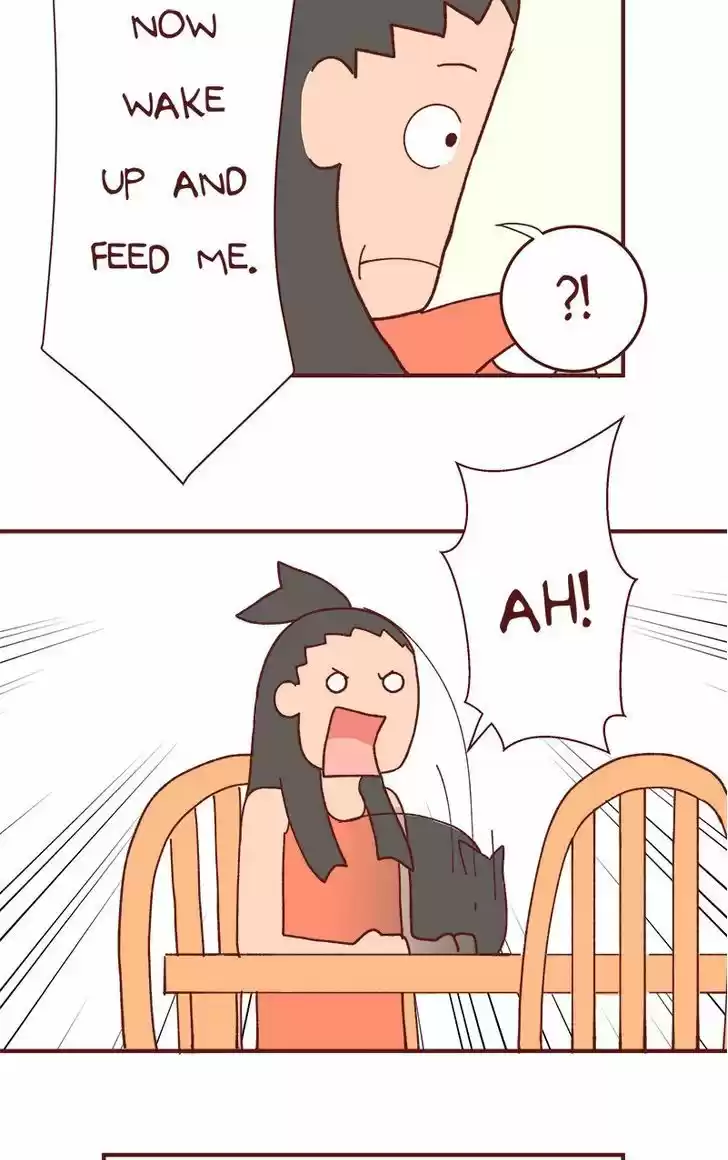 Saphie: The One-Eyed Cat 82