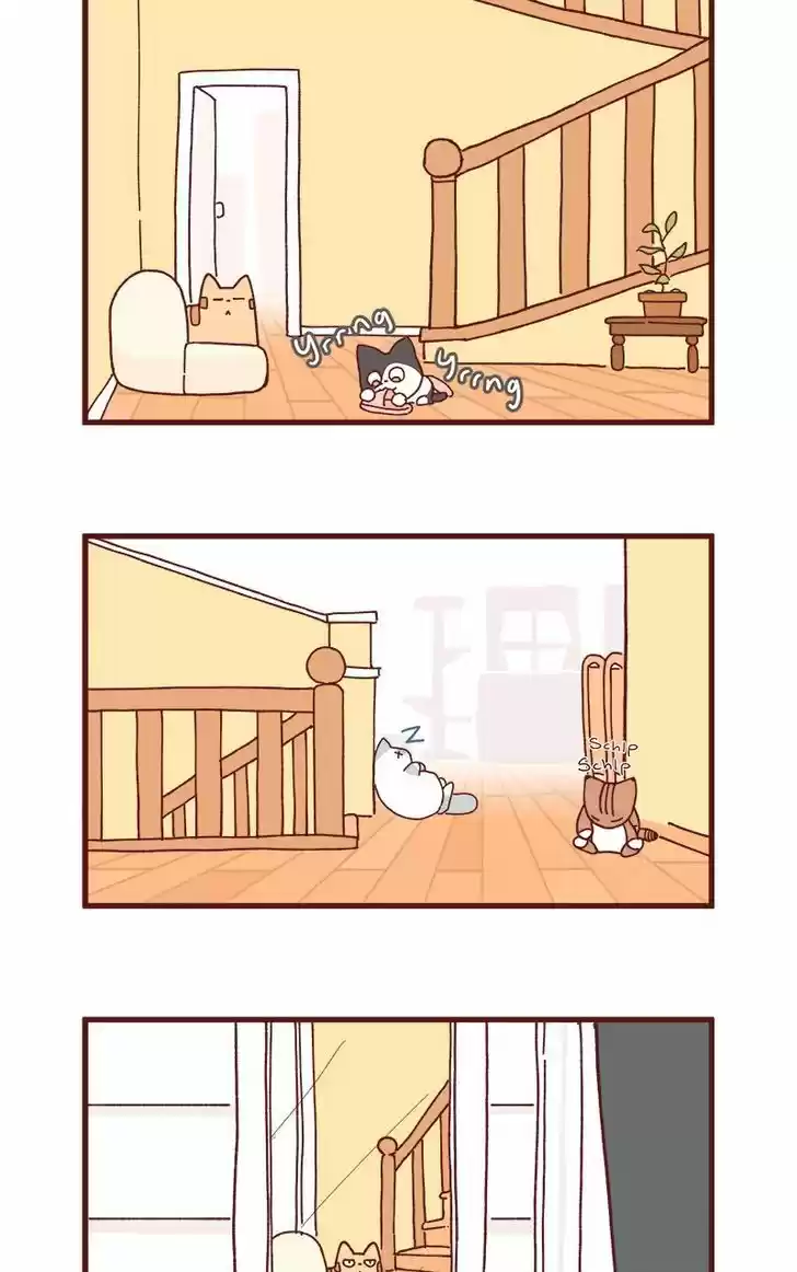 Saphie: The One-Eyed Cat 83