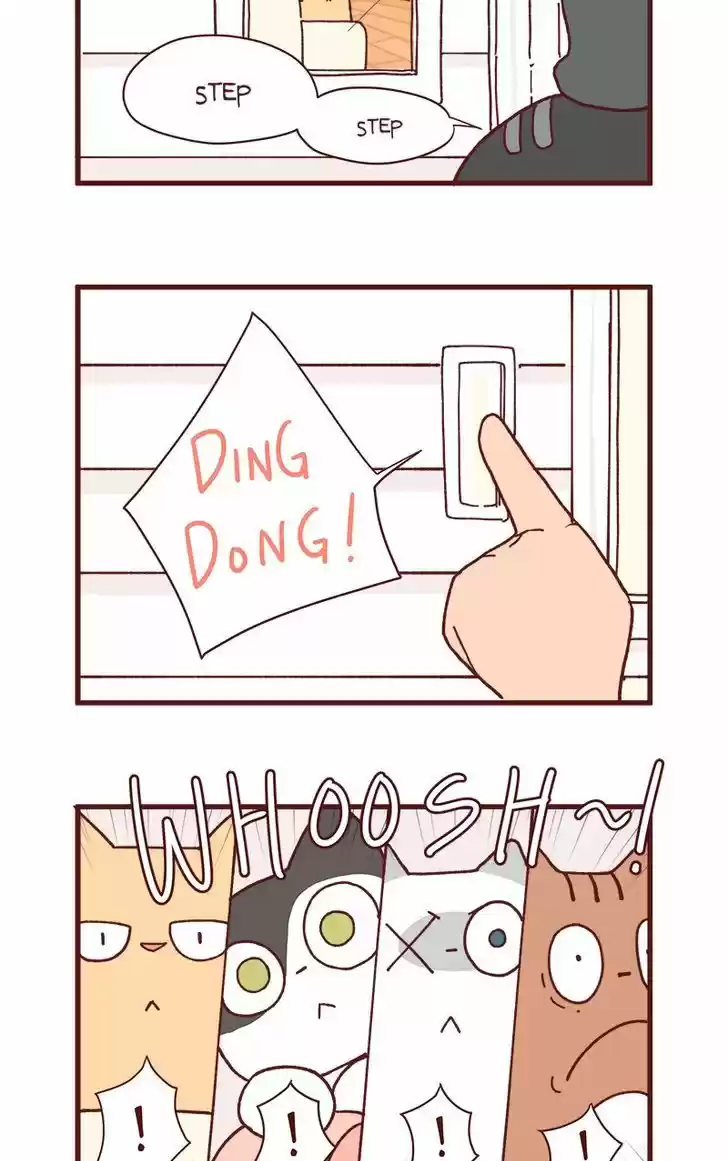 Saphie: The One-Eyed Cat 83