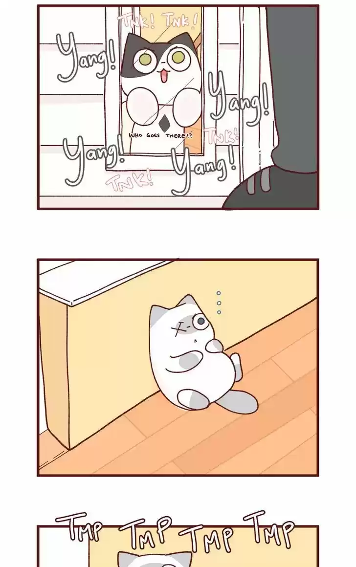 Saphie: The One-Eyed Cat 83