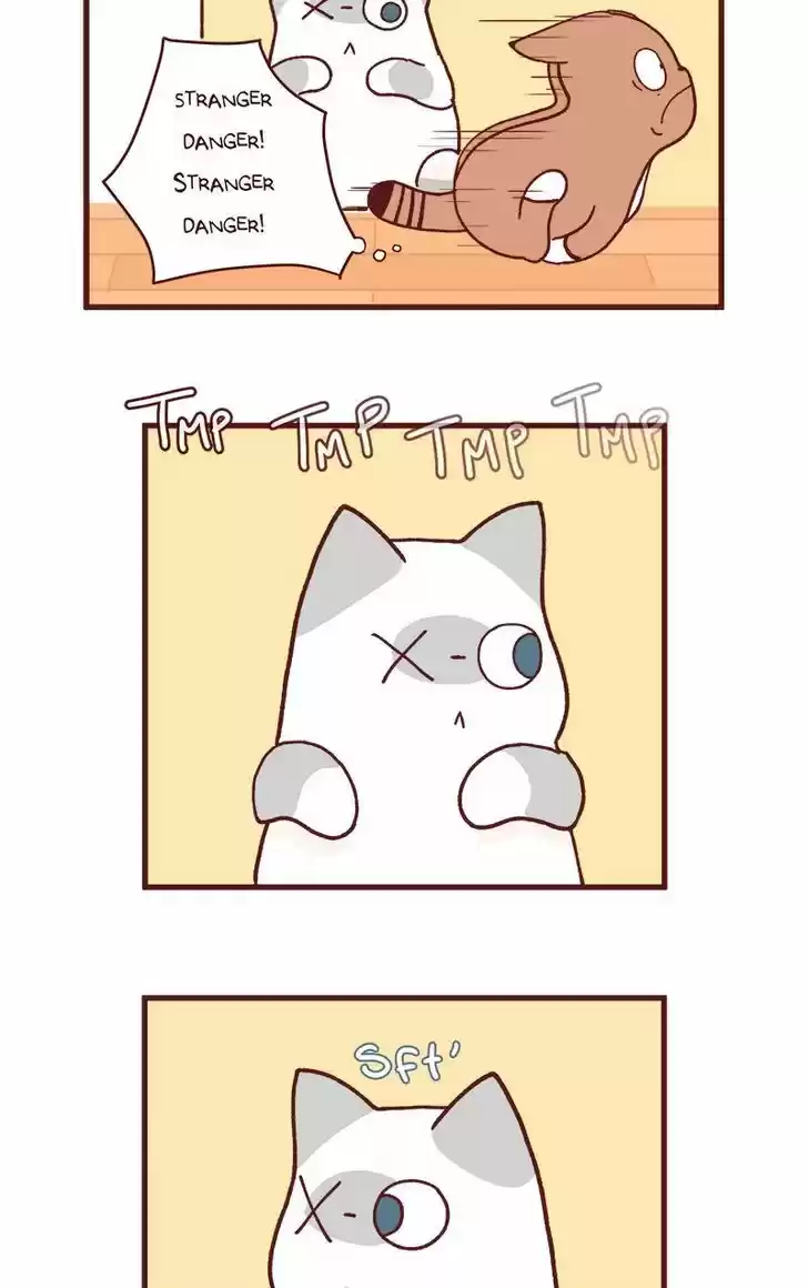 Saphie: The One-Eyed Cat 83