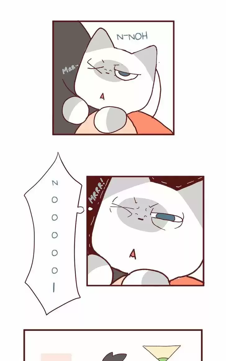 Saphie: The One-Eyed Cat 84