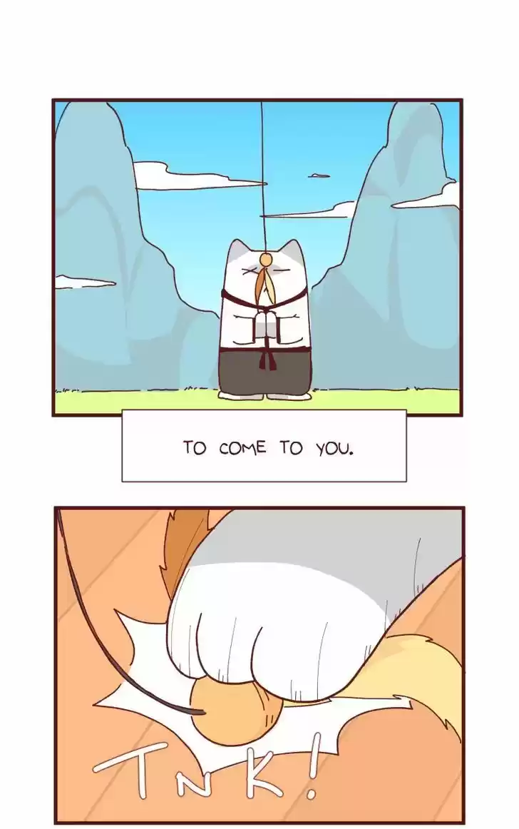 Saphie: The One-Eyed Cat 85