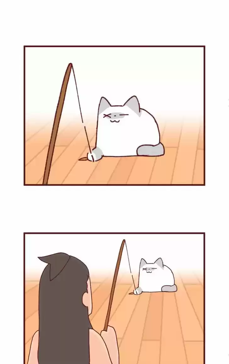 Saphie: The One-Eyed Cat 85