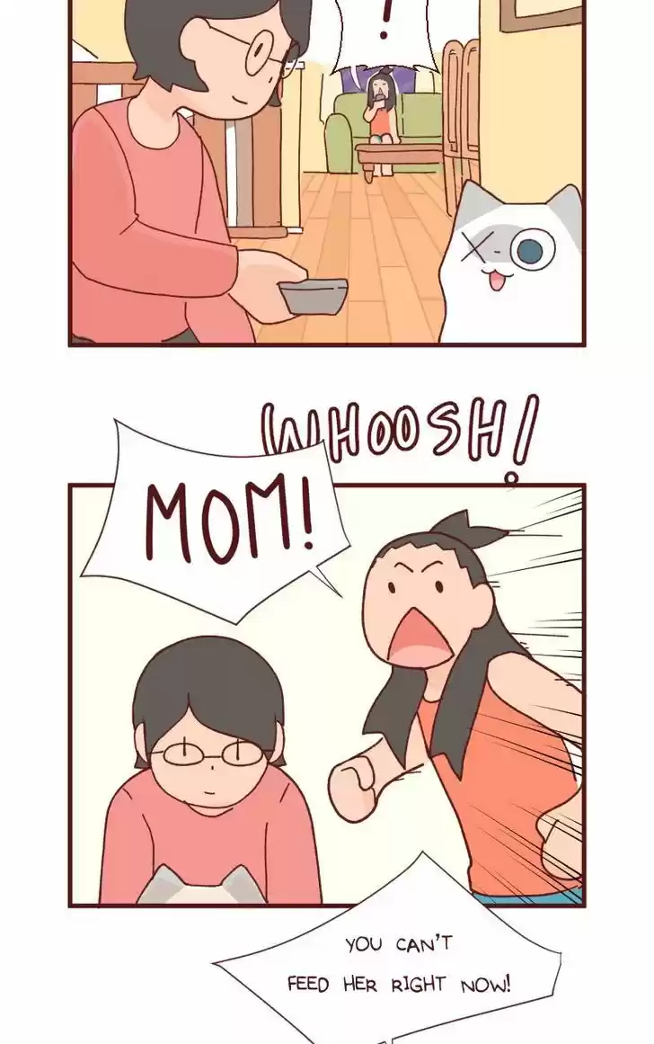 Saphie: The One-Eyed Cat 86