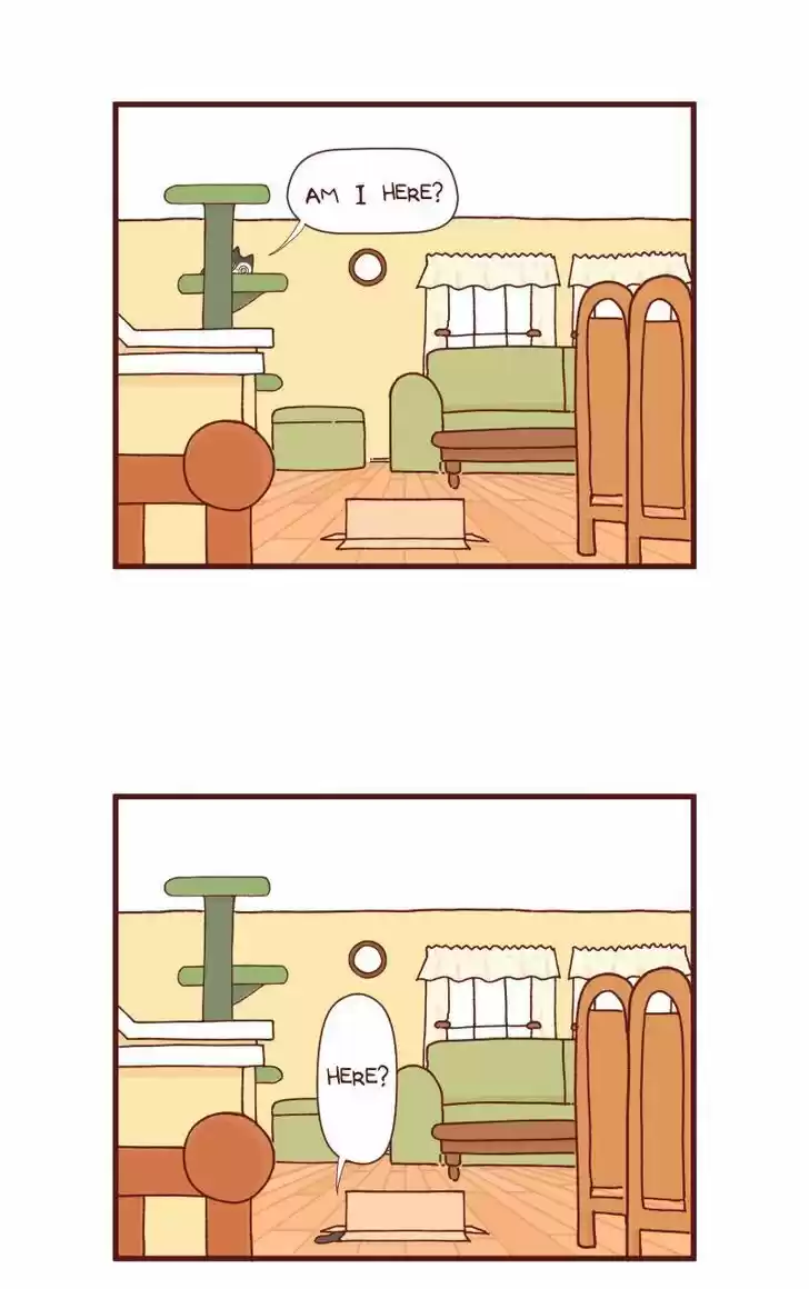 Saphie: The One-Eyed Cat 87