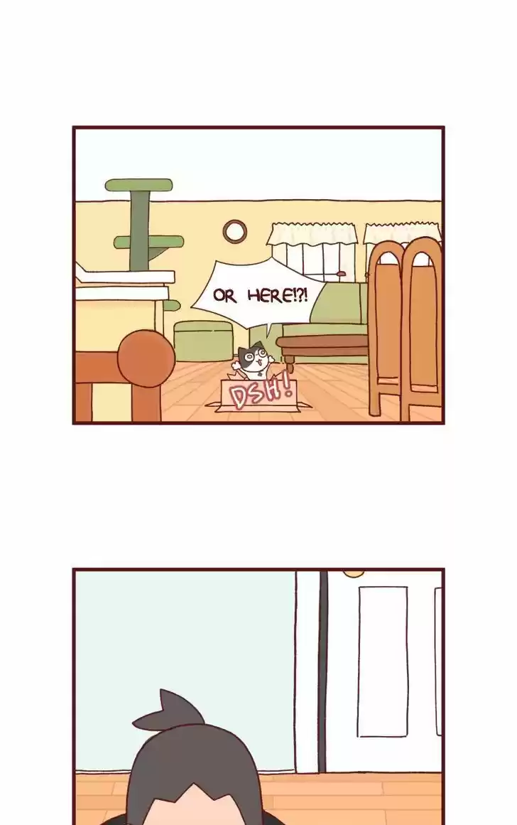 Saphie: The One-Eyed Cat 87