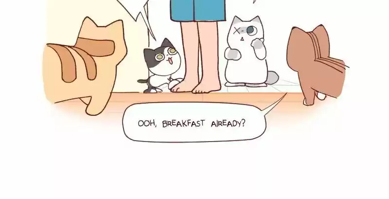 Saphie: The One-Eyed Cat 87