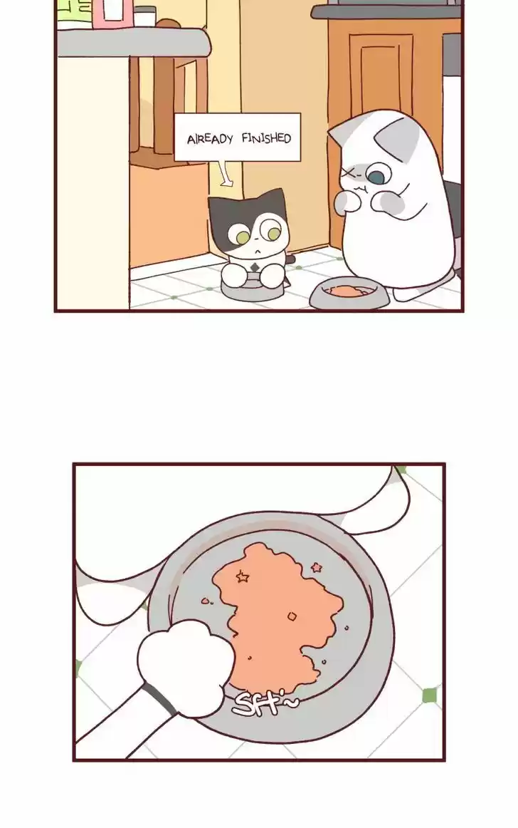 Saphie: The One-Eyed Cat 88