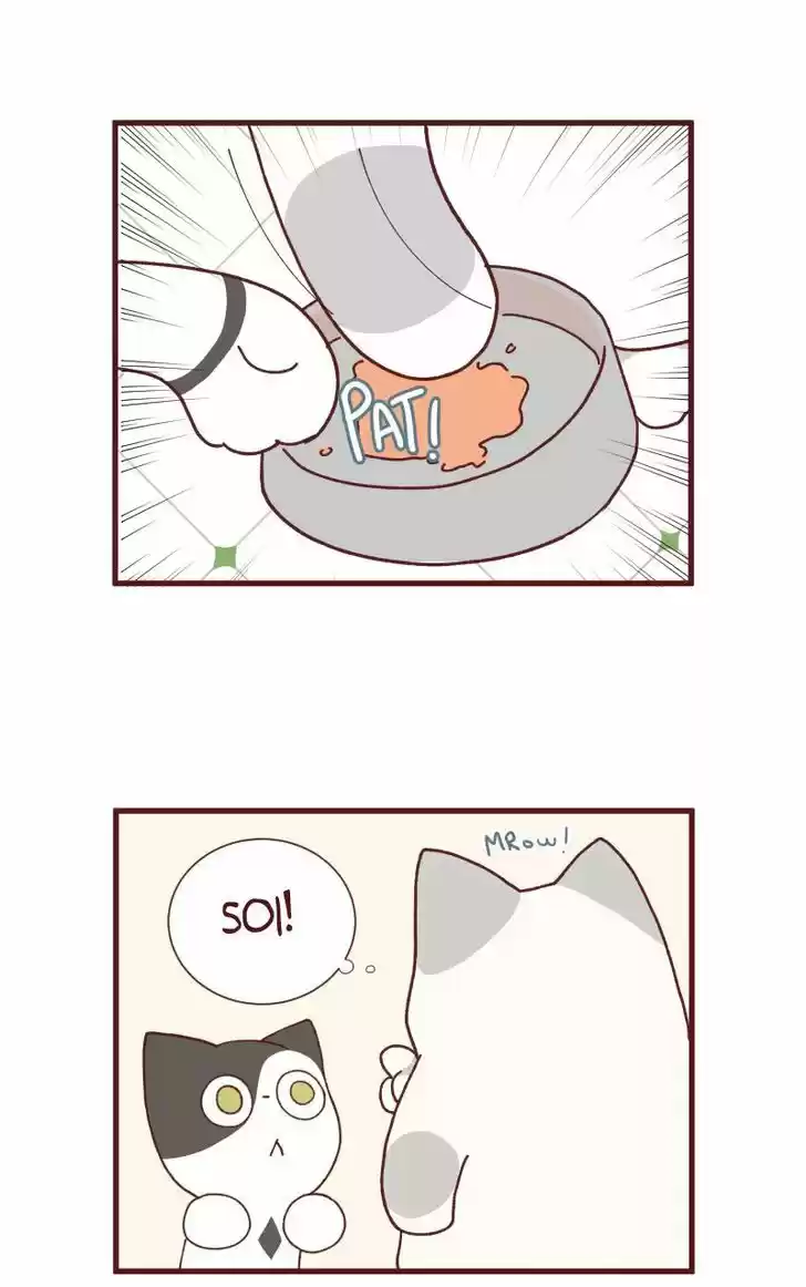 Saphie: The One-Eyed Cat 88