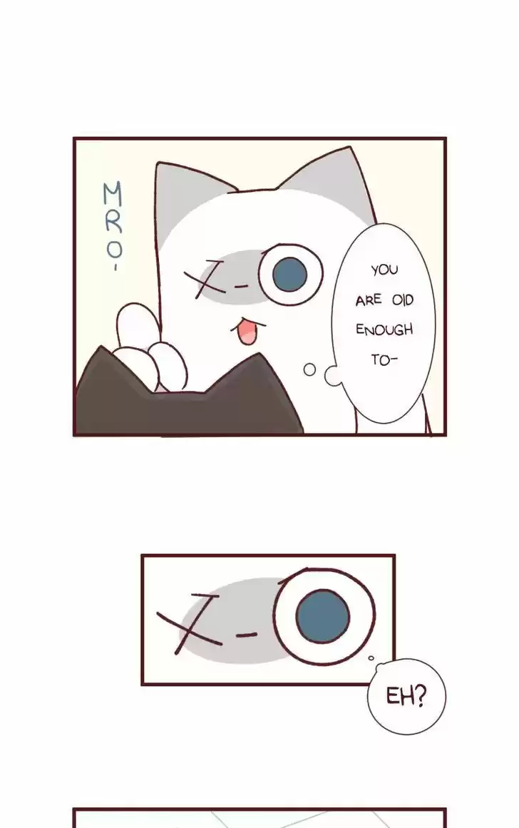 Saphie: The One-Eyed Cat 88