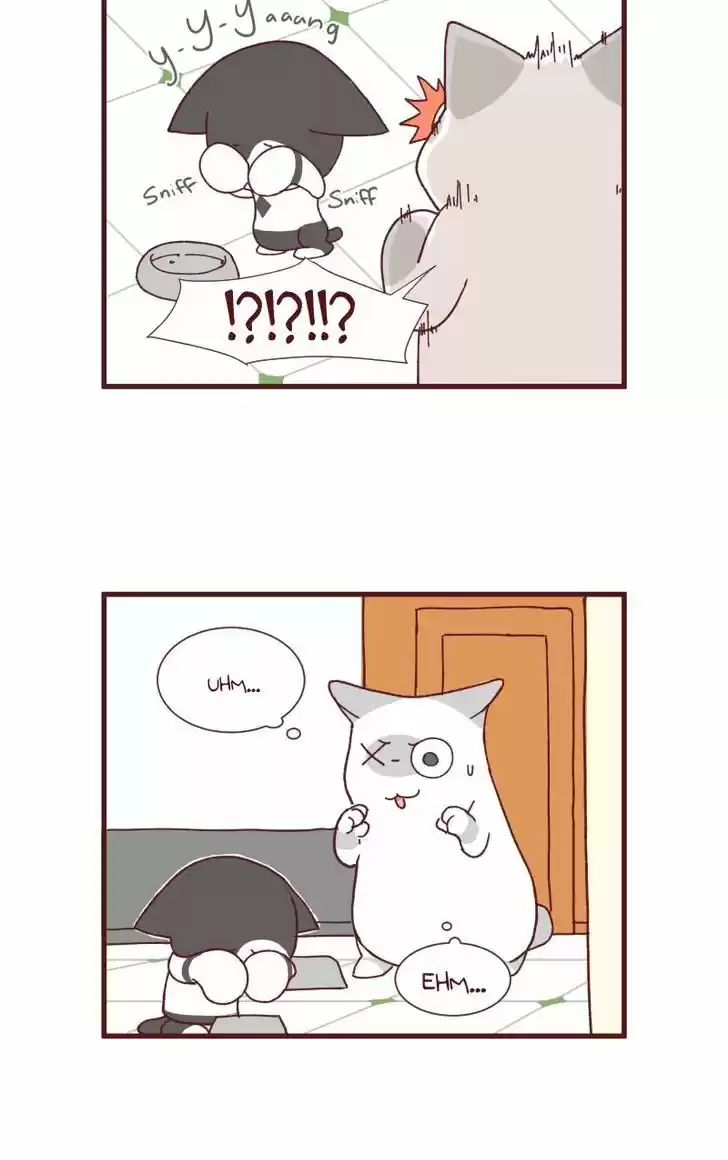 Saphie: The One-Eyed Cat 88