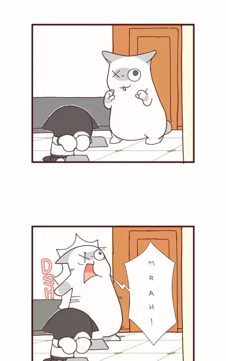 Saphie: The One-Eyed Cat 88