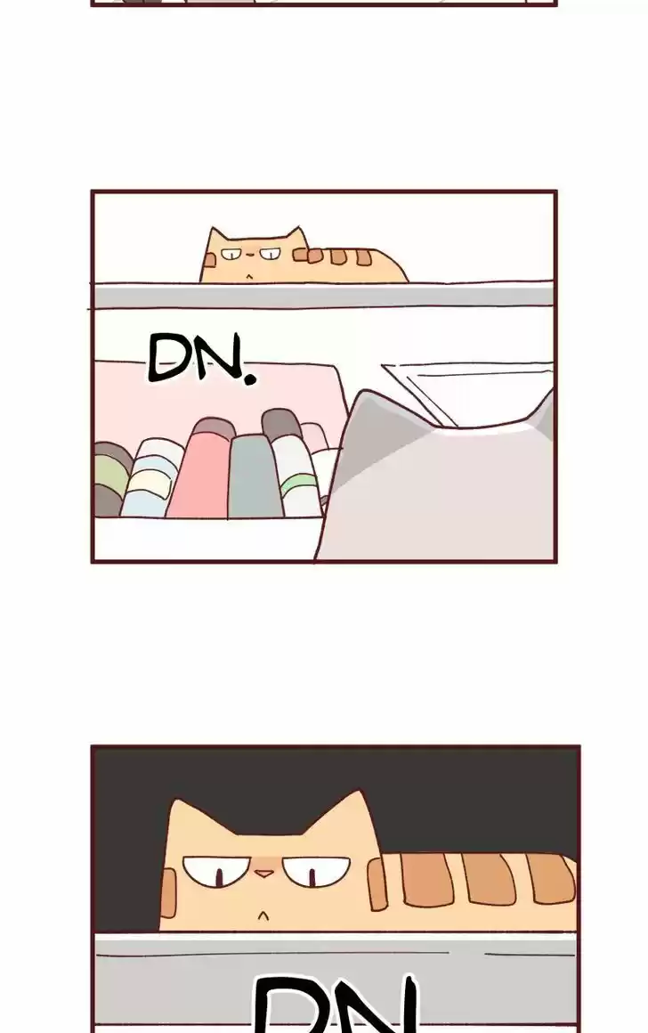 Saphie: The One-Eyed Cat 88