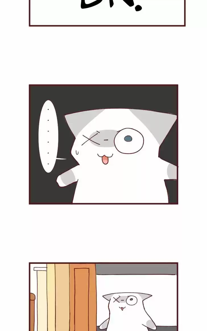 Saphie: The One-Eyed Cat 88