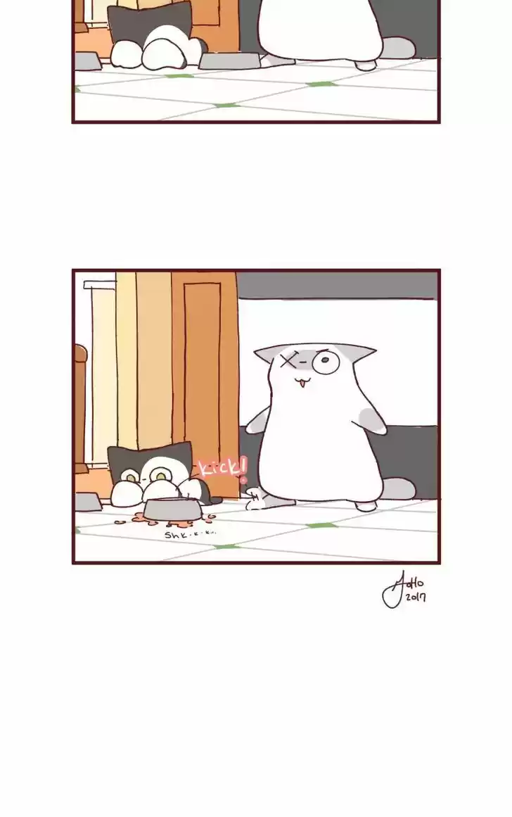 Saphie: The One-Eyed Cat 88