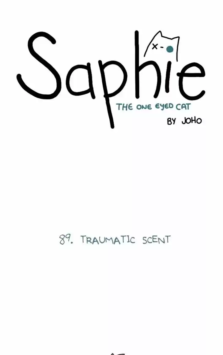 Saphie: The One-Eyed Cat 89