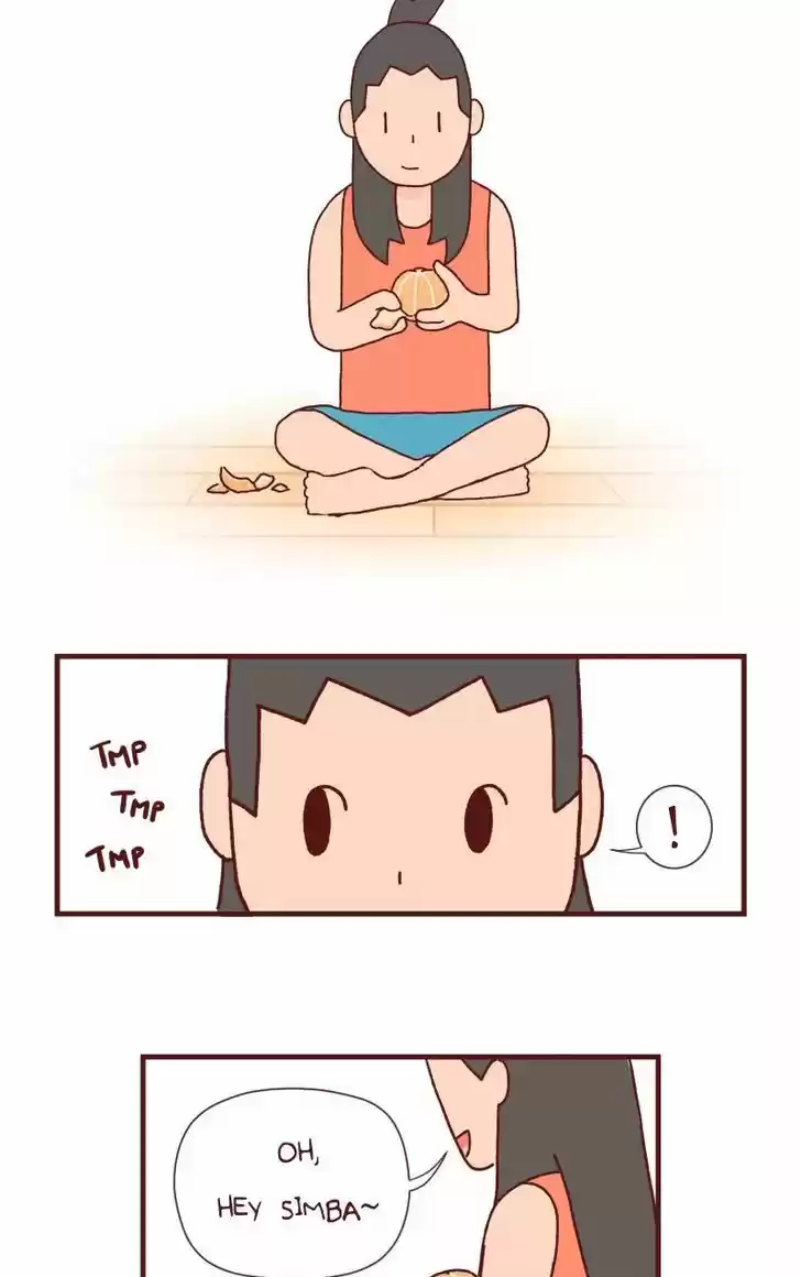 Saphie: The One-Eyed Cat 89