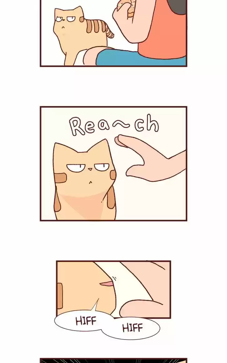 Saphie: The One-Eyed Cat 89