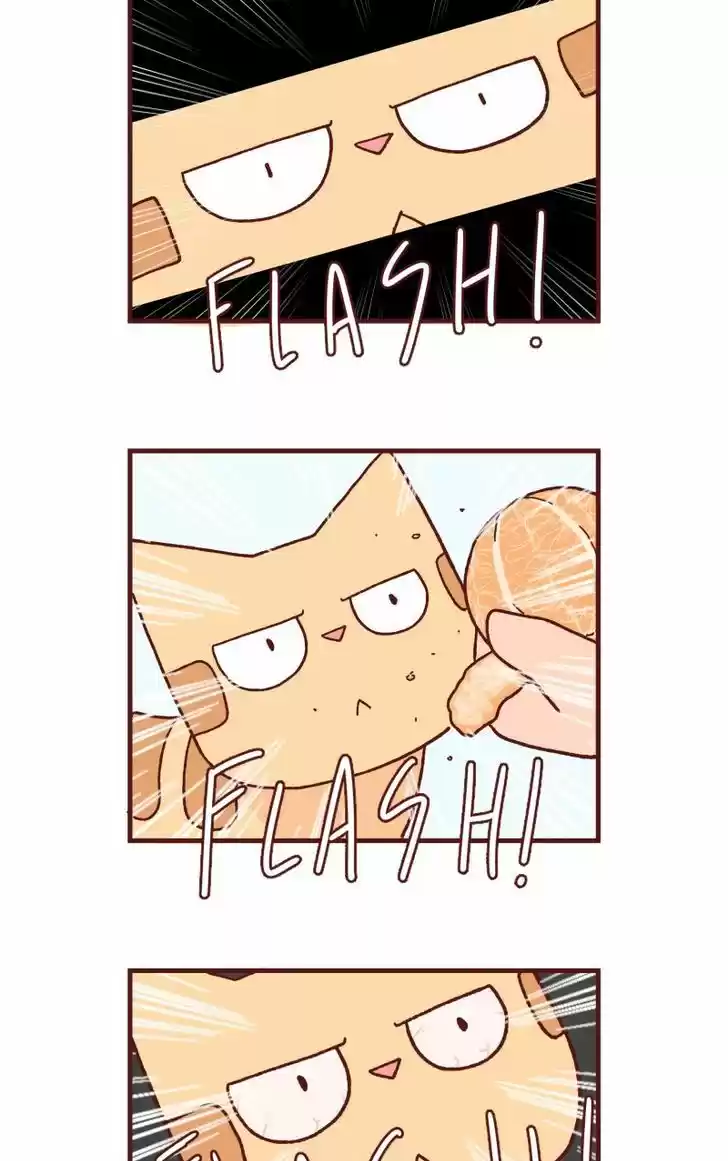 Saphie: The One-Eyed Cat 89