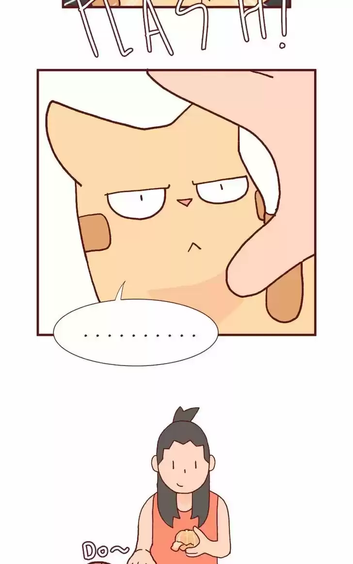 Saphie: The One-Eyed Cat 89