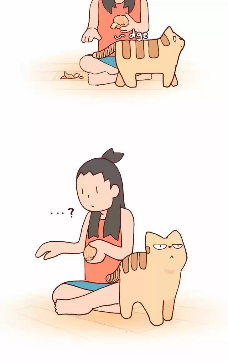 Saphie: The One-Eyed Cat 89