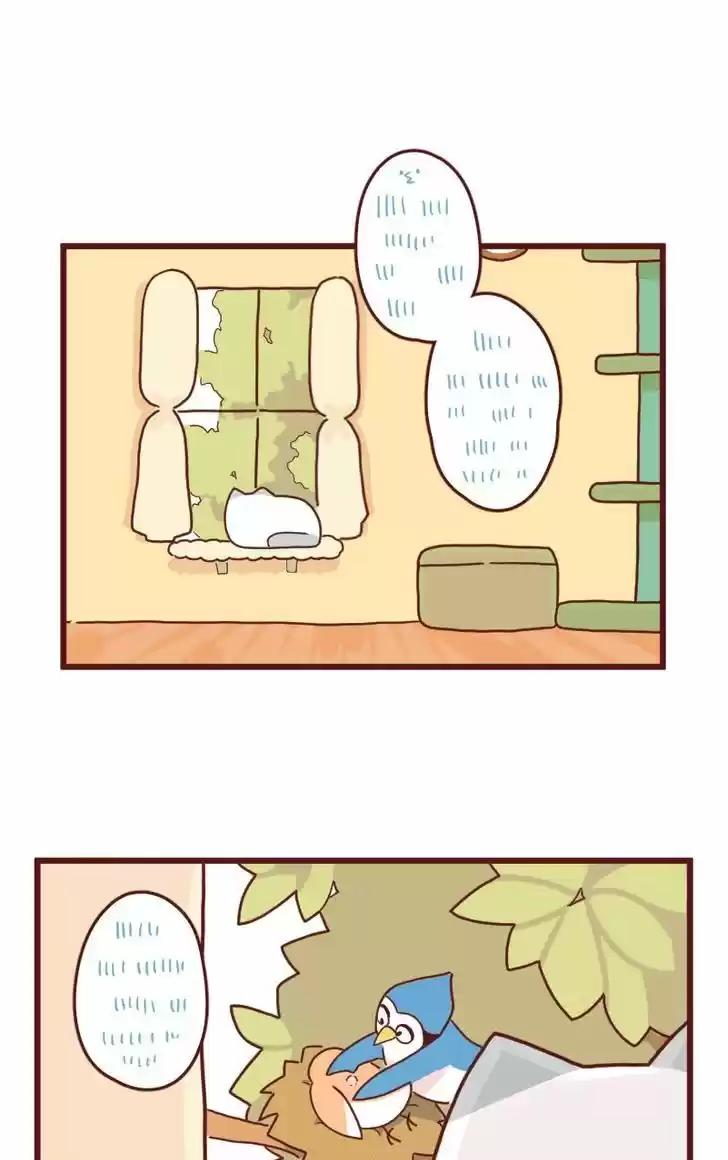 Saphie: The One-Eyed Cat 9