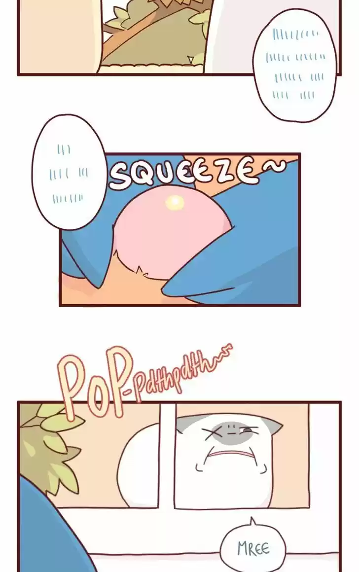 Saphie: The One-Eyed Cat 9