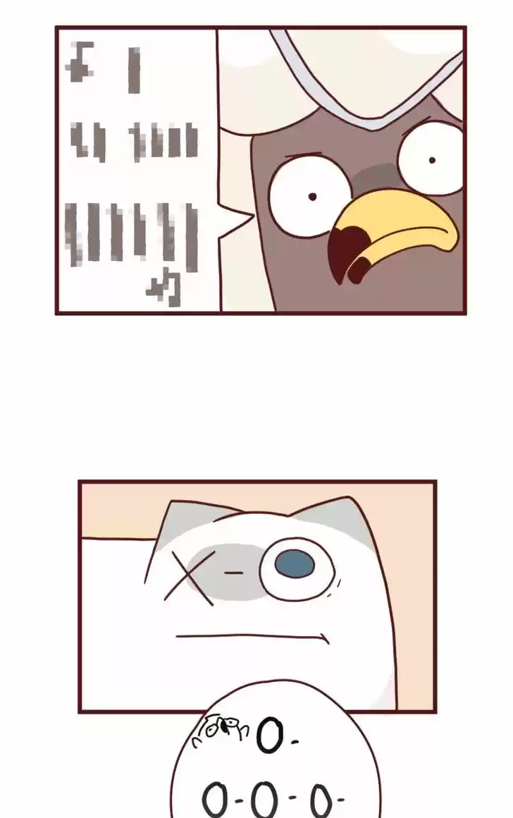 Saphie: The One-Eyed Cat 9