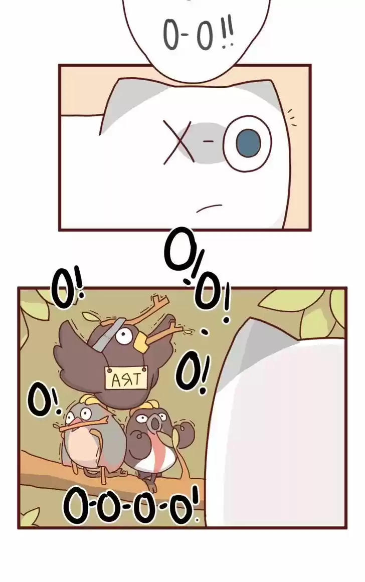 Saphie: The One-Eyed Cat 9