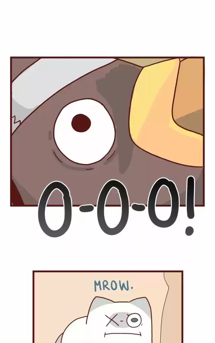 Saphie: The One-Eyed Cat 9