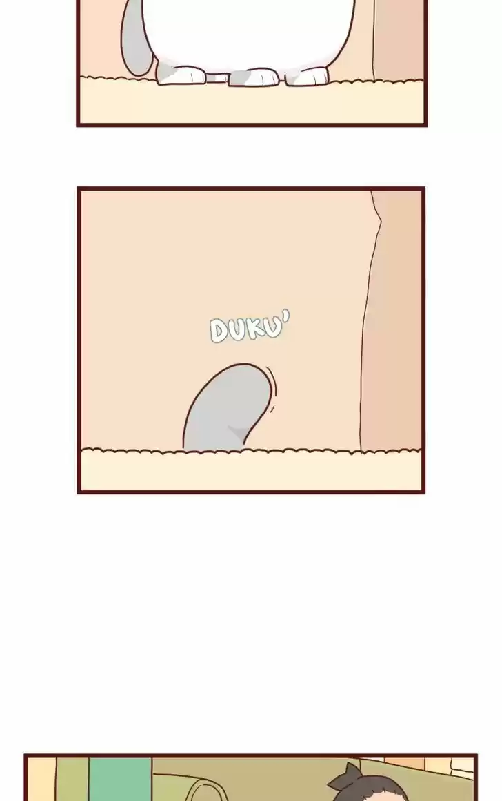 Saphie: The One-Eyed Cat 9