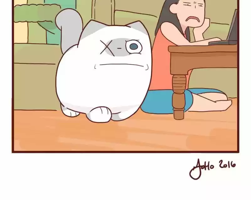 Saphie: The One-Eyed Cat 9