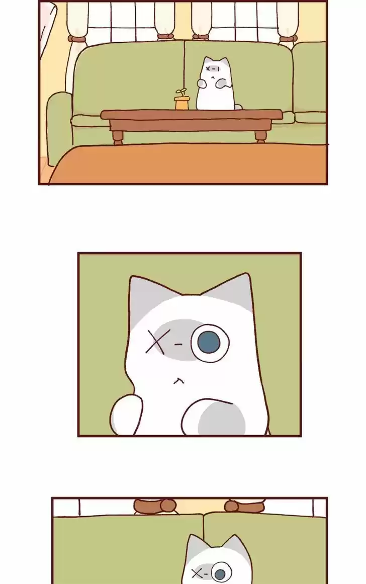 Saphie: The One-Eyed Cat 90